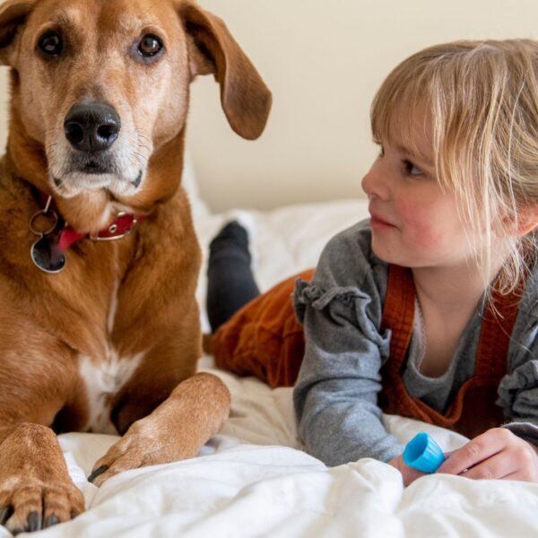 family lawyers perth